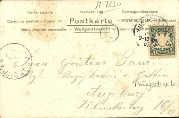 Gefluegel Frau Küken – Bild 2
