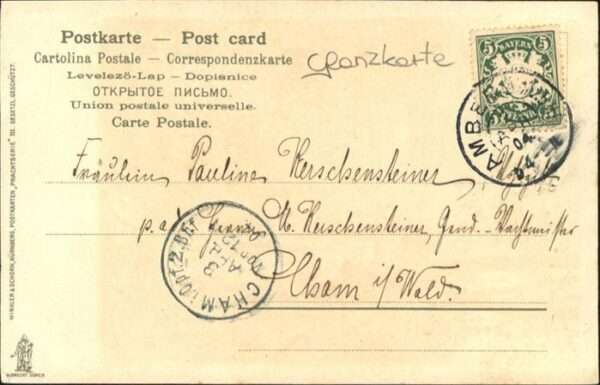 Gefluegel Frau Fütterung – Bild 2