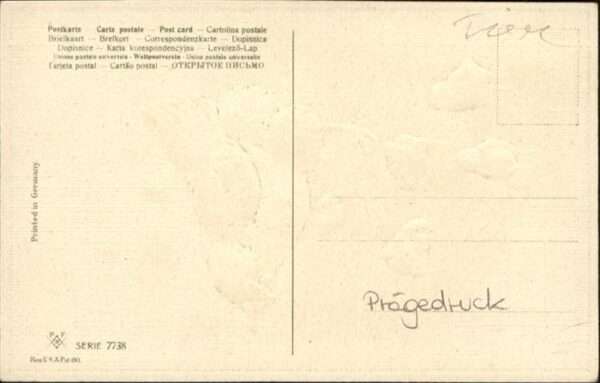 Gefluegel Küken – Bild 2