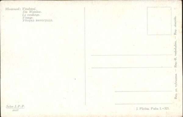 Wein Weinlese Montenard – Bild 2