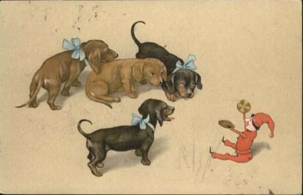 Hunde