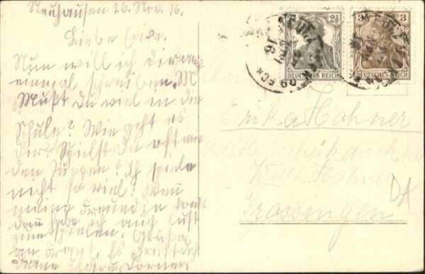 Hunde – Bild 2