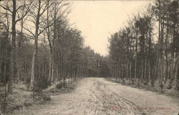 Putten Gelderland Putten Schovenhorst