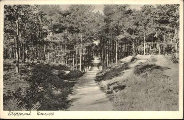 Nunspeet Eibertjespad