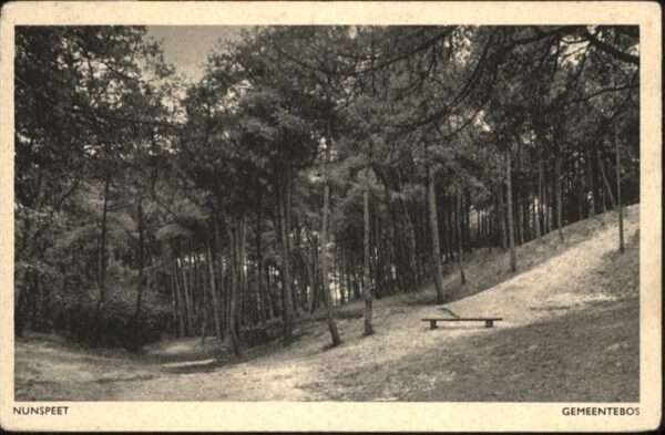 Nunspeet Gemeentebos