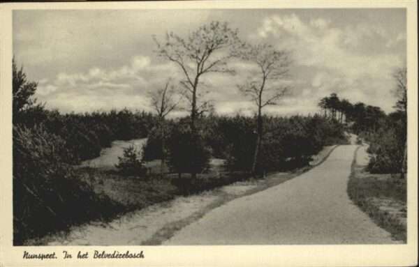 Nunspeet Belvederebosch