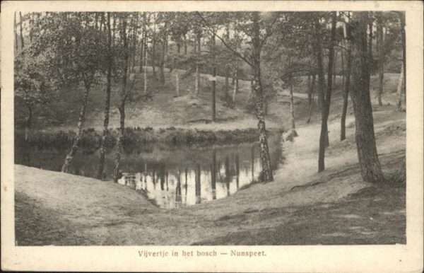 Nunspeet Vijvertje in het bosch