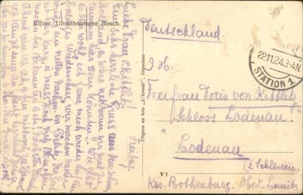 Vijver Ulvenhoutsche Bosch – Bild 2