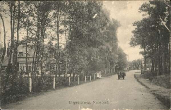 Nunspeet Elspeeterweg