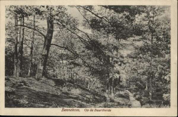 Bennekom Buurtheide