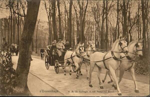 s-Gravenhage Koningin in het Haagsche Bosch