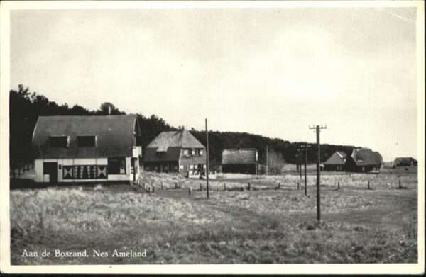 Nes Bosrand