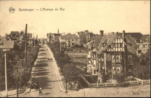 Duinbergen Avenue du Roi