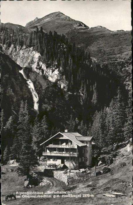 Neukirchen Grossvenediger Alpen Gasthaus Berndlalm Pferd Hackkoge
