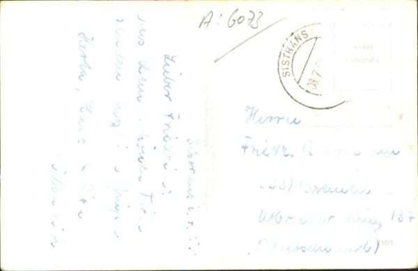 Sistrans – Bild 2