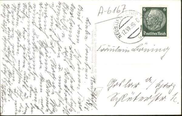 Pinnistal Habicht – Bild 2