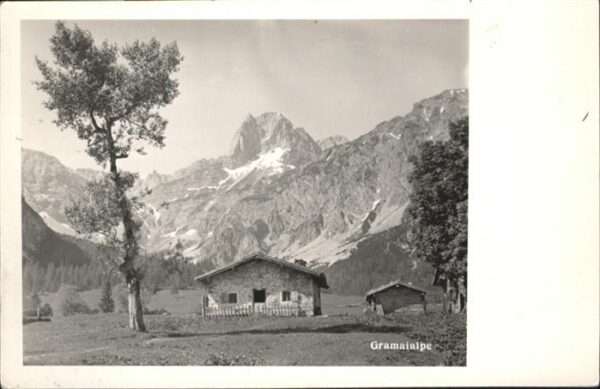 Schwaz Tirol Grameialpe