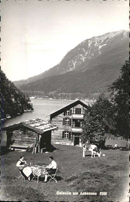Achensee Geisalm Kühe