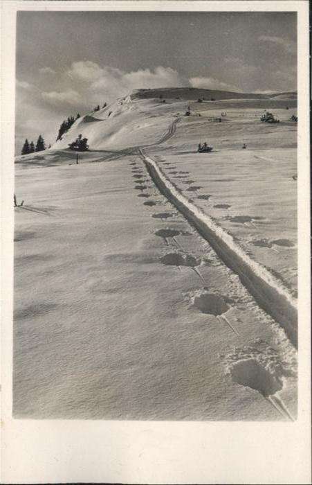 Gerlos Aufstieg zum Plattenkogel