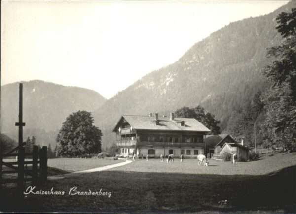 Brandenberg Tirol Kaiserhaus Kühe