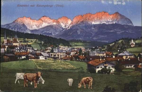 Kitzbuehel Tirol Kaisergebirge Kühe