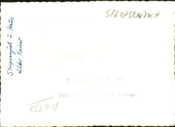 Stripsenjoch – Bild 2