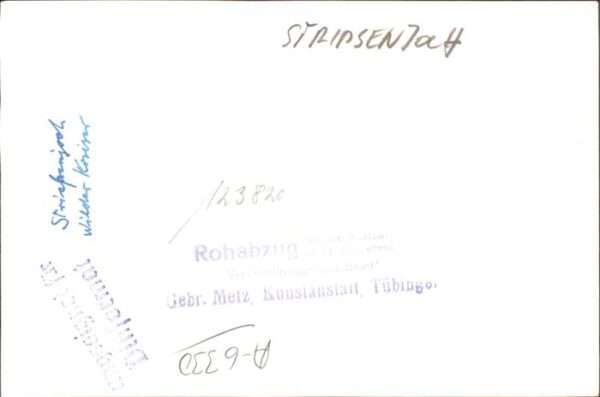 Stripsenjoch – Bild 2