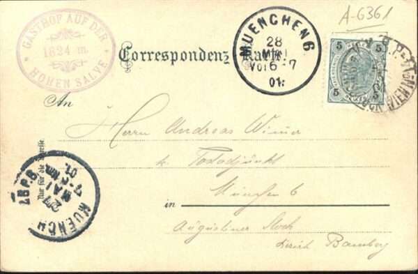 Hohe Salve Enzian – Bild 2