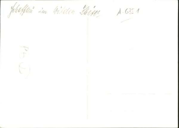 Scheffau Wilden Kaiser [Handschriftlich] – Bild 2