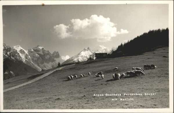 Stubaital Alpen Gasthaus Frohneben Schafe