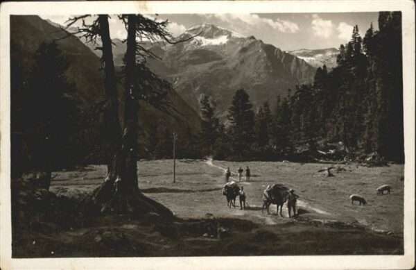 Mayrhofen Zillertal Grawandboden Zillertal