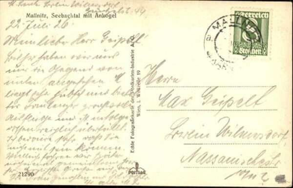 Mallnitz Kaernten Seebachtal Ankogel Kühe – Bild 2