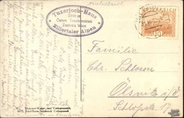 Tuxerjochhaus Kühe – Bild 2