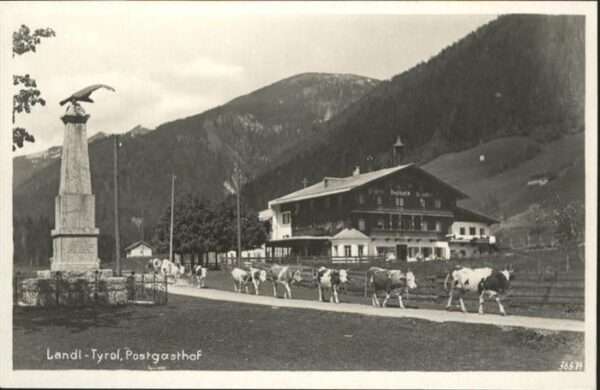 Landl Thiersee Post Gasthof Kühe