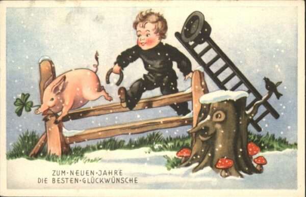 Schornsteinfeger Schwein Pilze Neujahr