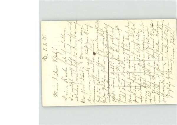 Adel Feldgrau – Bild 2