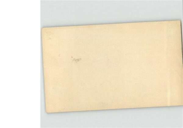 Adel Preussen Kronprinzessin Cecilie Kinder Söhne – Bild 2