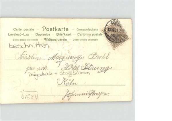 Voegel – Bild 2