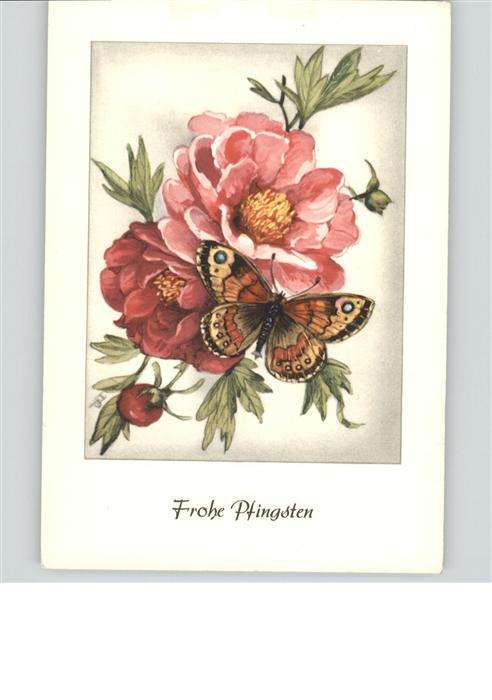Pfingsten Pentecost Pentecote Schmetterling Blume