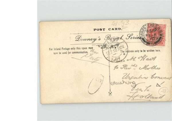 Adel England Prince of Wales – Bild 2