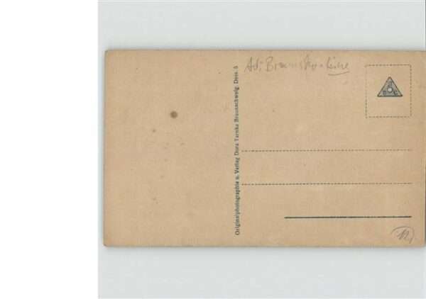 Adel Braunschweig Herzogin Viktoria Luise Lüneburg Söhne – Bild 2