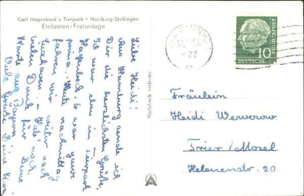 Dickhaeuter Elefanten Hamburg Stellingen Tierpark – Bild 2