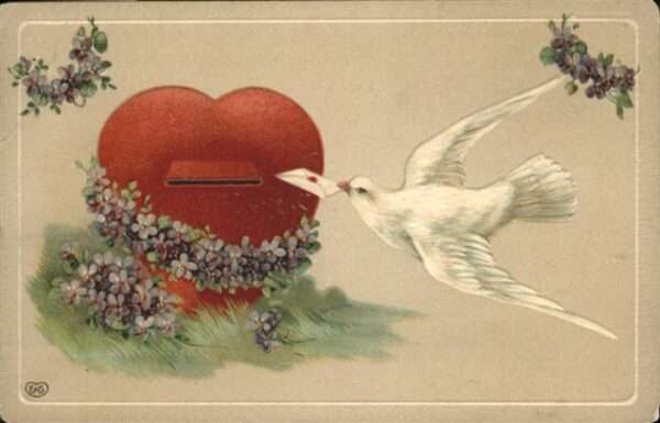 Brieftaube Carrier Pigeon voyageur Herz