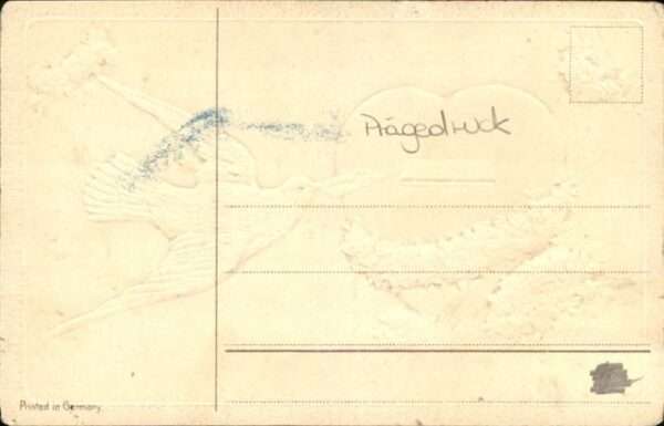 Brieftaube Carrier Pigeon voyageur Herz – Bild 2