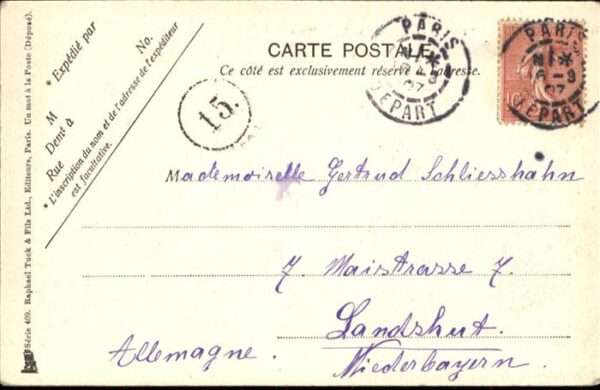 Katzen Spiegel Bürste – Bild 2