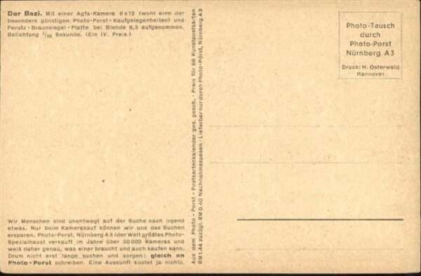 Hunde Der Bazi – Bild 2