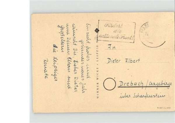 Schornsteinfeger Pilz – Bild 2