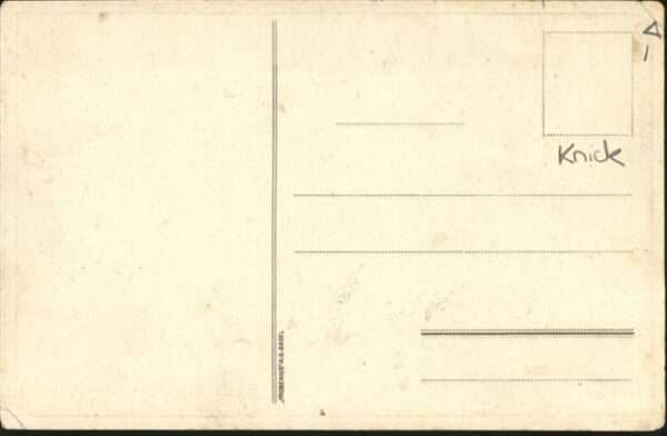 Dickhaeuter Elefanten Pferde – Bild 2