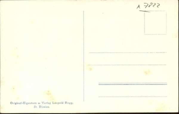 Kirchenorgel Kirche St Blasien – Bild 2