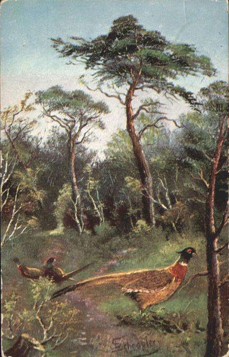 Voegel